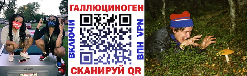 Псилоцибиновые грибы Cubensis  купить закладку  Шахунья 